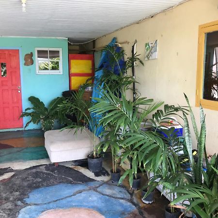 Magical Garden Apartment Savaneta Exterior photo