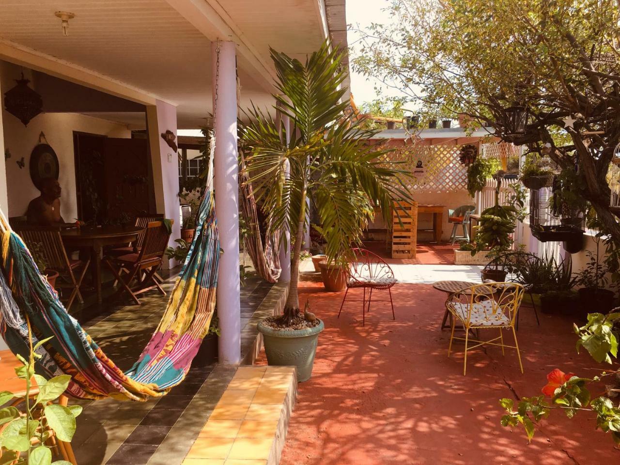 Magical Garden Apartment Savaneta Exterior photo