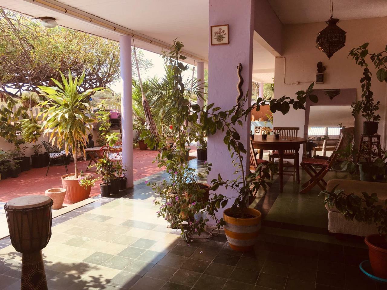 Magical Garden Apartment Savaneta Exterior photo