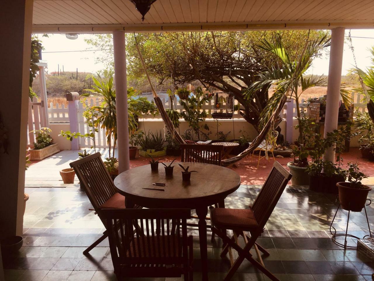 Magical Garden Apartment Savaneta Exterior photo